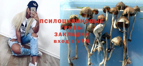 бошки Абинск