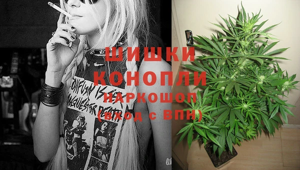 бошки Абинск
