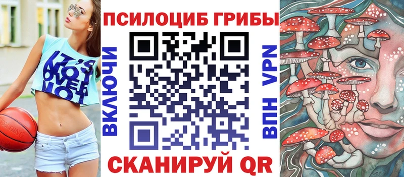 даркнет клад  Кудымкар  Псилоцибиновые грибы Psilocybine cubensis  сколько стоит 